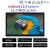 13.3 Inch 4G-64G-1P